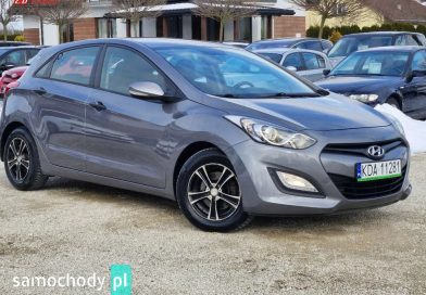 Hyundai i30 (2013) Hyundai i30 (2013)