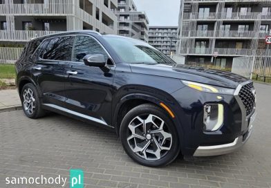 Hyundai Palisade (2022) Hyundai Palisade (2022)